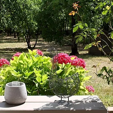 La Felixinette Bed & Breakfast
